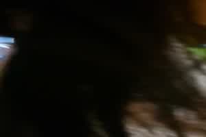 极品天菜学妹与男友啪啪笑的好灿烂  背景图片