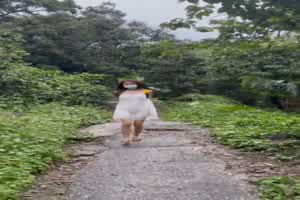 黑暗抖音系列 喜欢户外漏出的小姐姐  背景图片