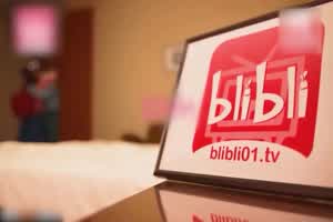 麻豆 淫荡静香的偷腥体验  背景图片