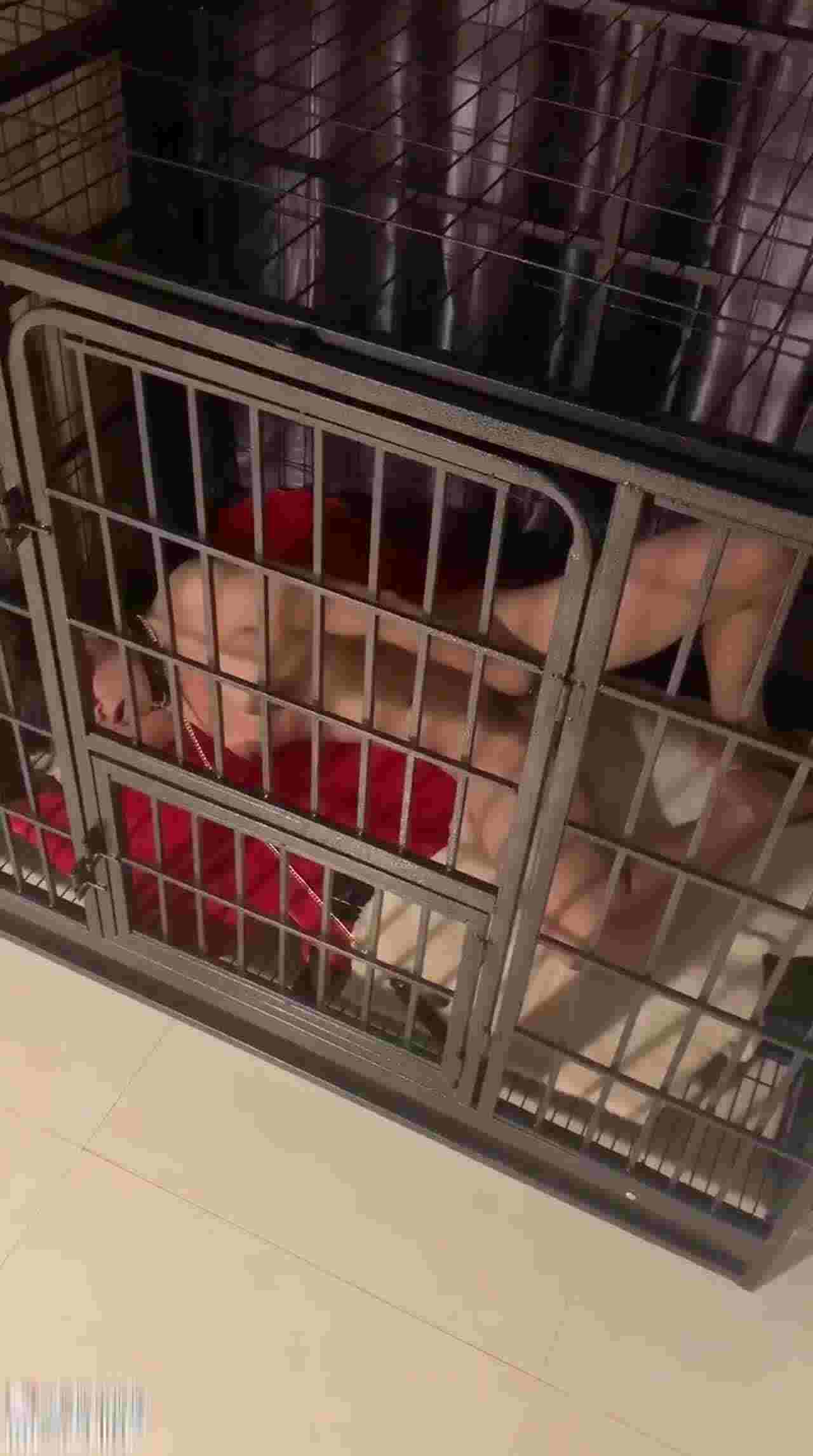  性奴养成记关在笼子小公主 的剧照7