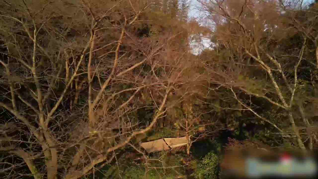  Naomi 皮卡丘小姐姐我要捕捉你 的剧照9