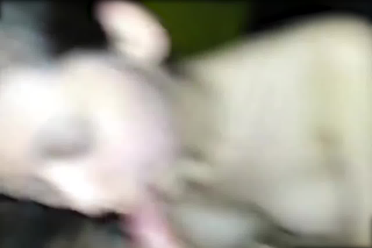  用相机记录我们性爱的每一天~啊!影片不小心流出了 的剧照7