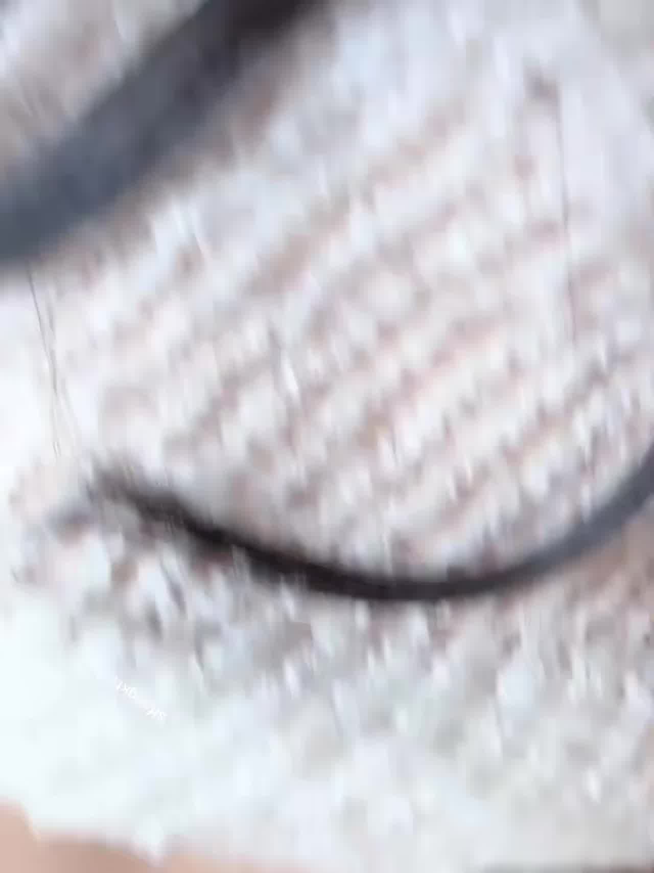  极品御姐毛衣小猫肉感身材肥臀后入 的剧照4