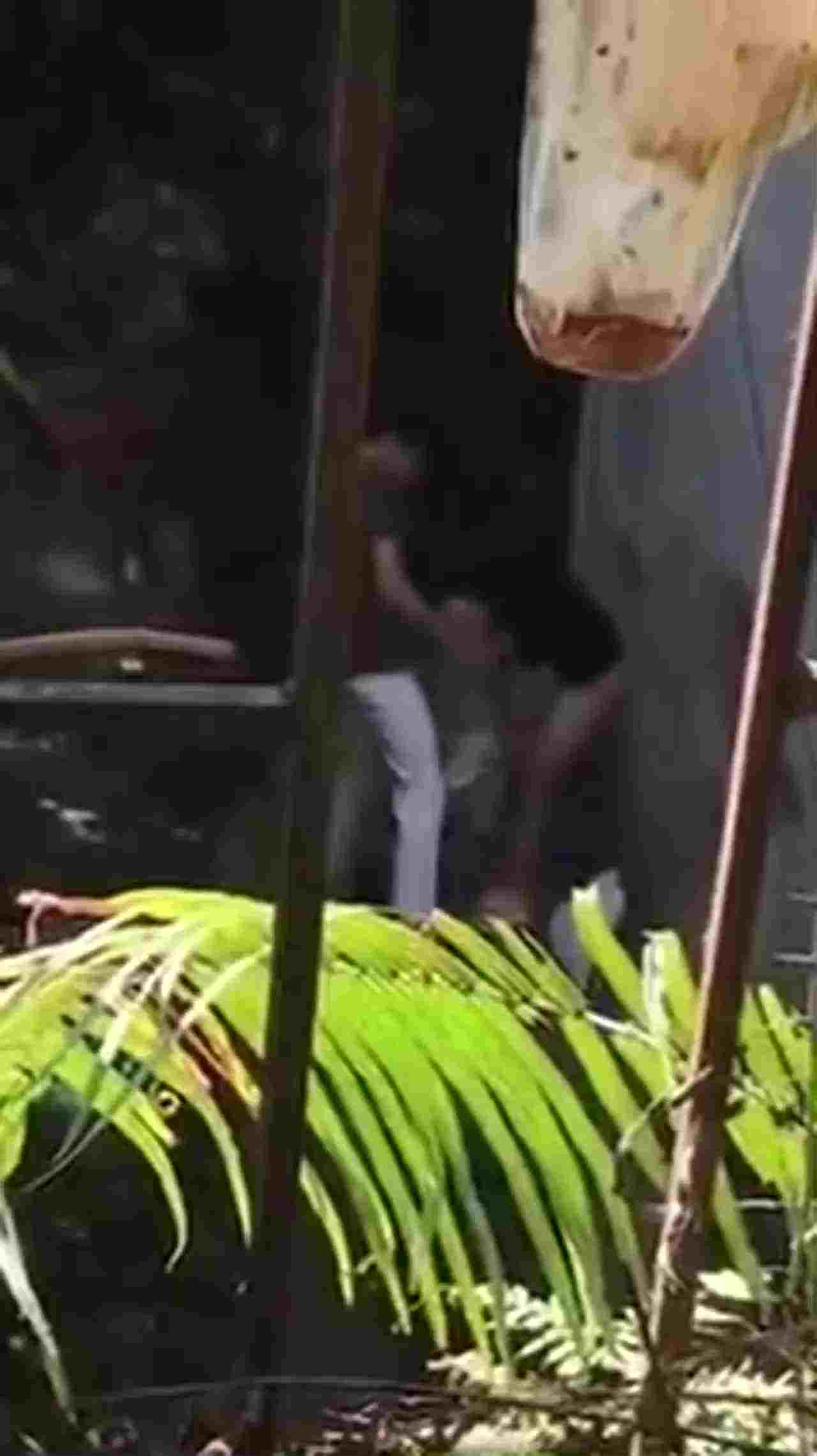  【窗外偷窥】楼下小夫妻吵架吵着吵着直接把衣服脱光了开炮 的剧照9