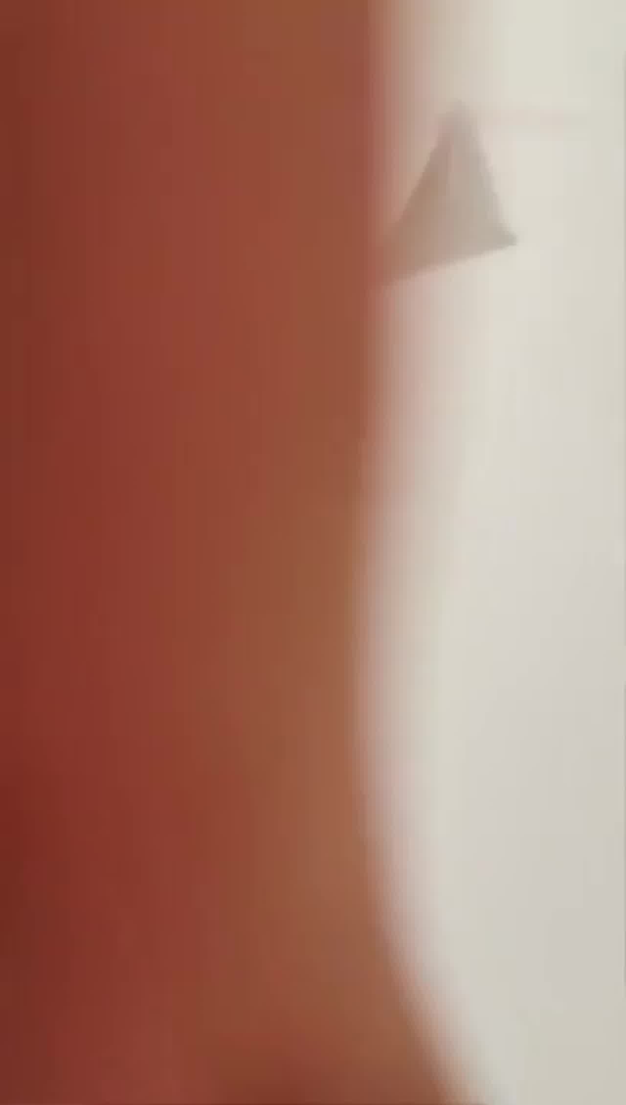  极美乳少妇性爱视频 的剧照2