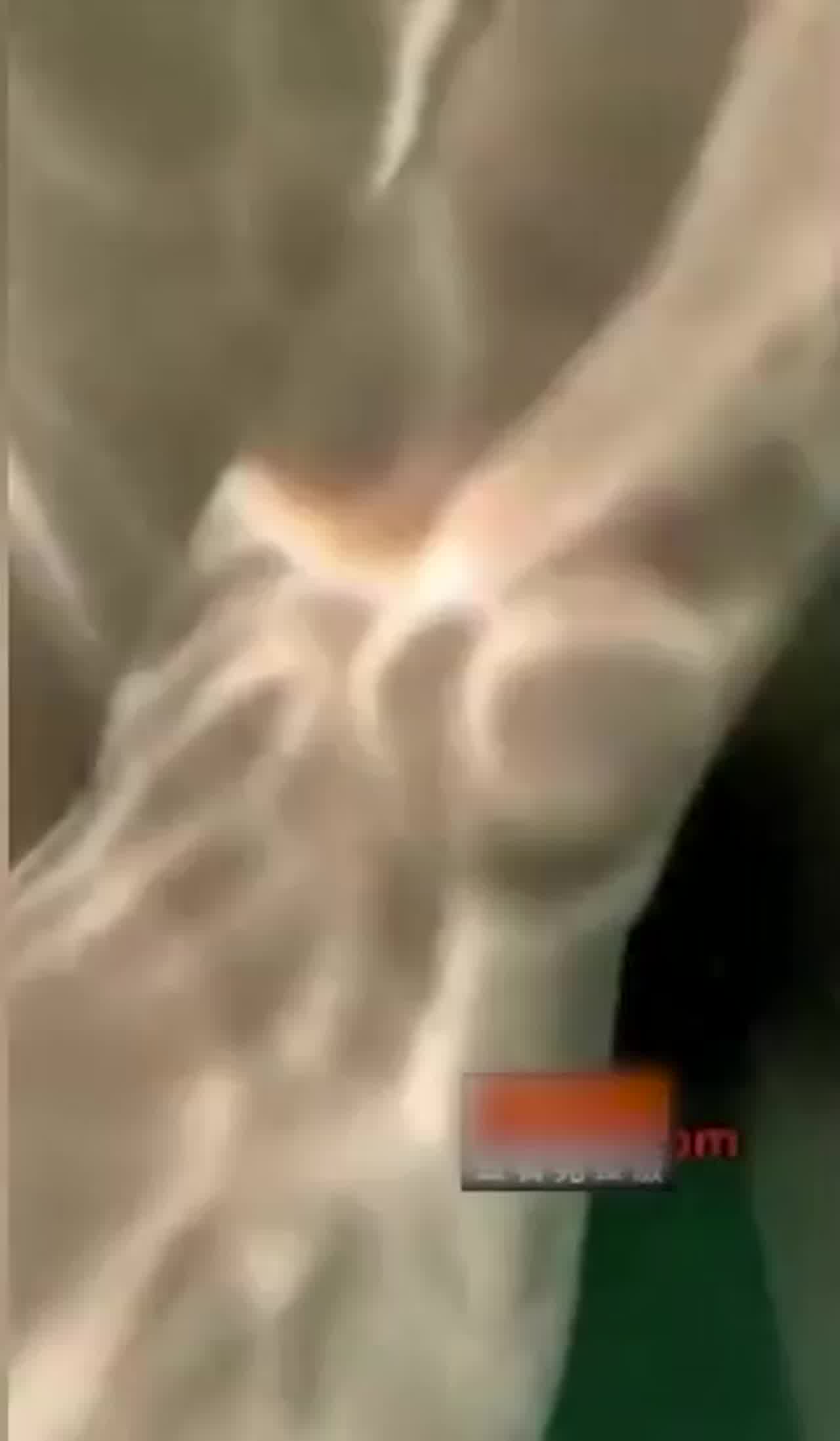  抖音甜鲛妹儿鱼露露泳池事件 的剧照3