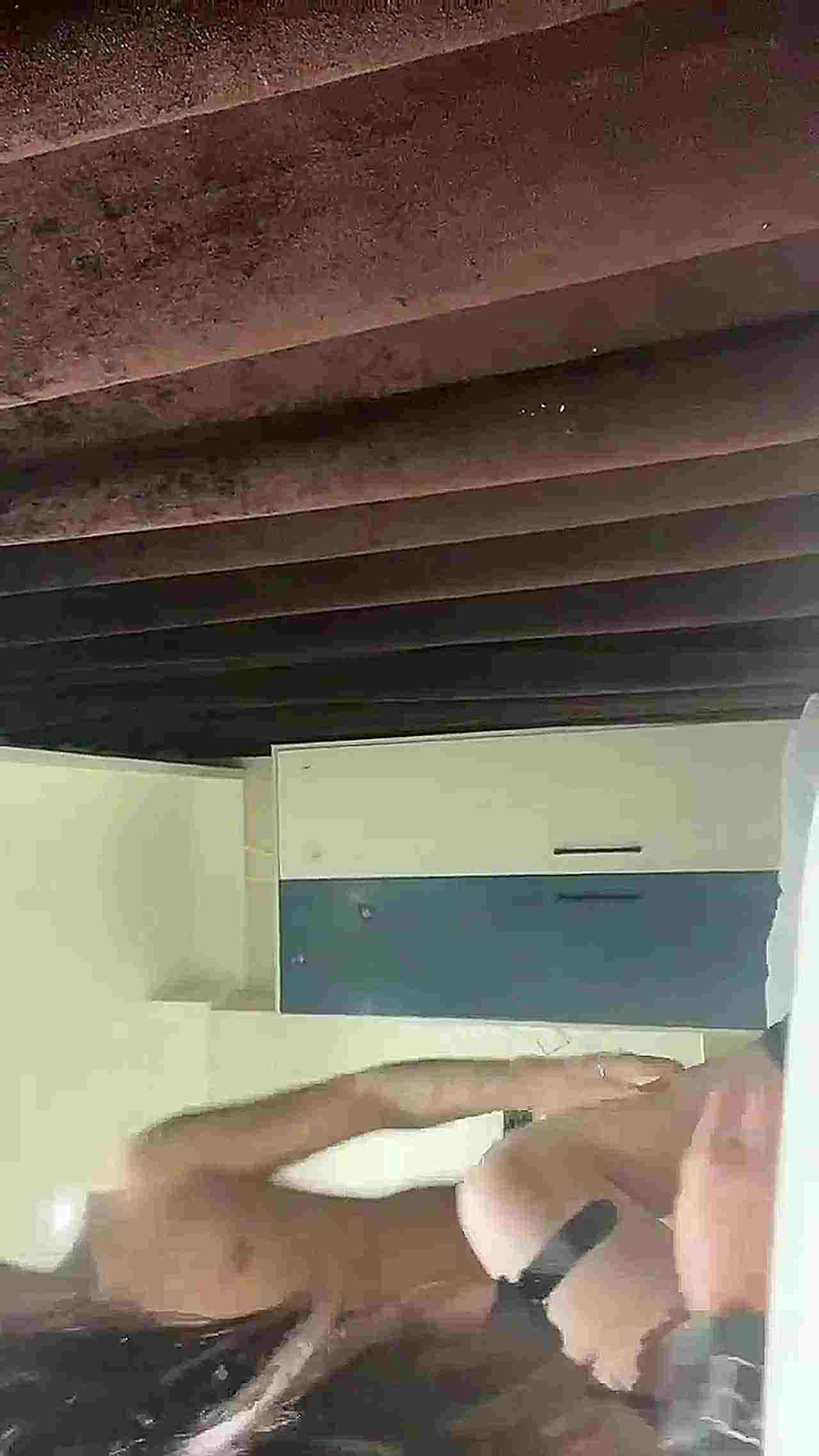  精神小妹花臂纹身美少女和男友大尺度私拍调教纹身婊反差母狗 的剧照4