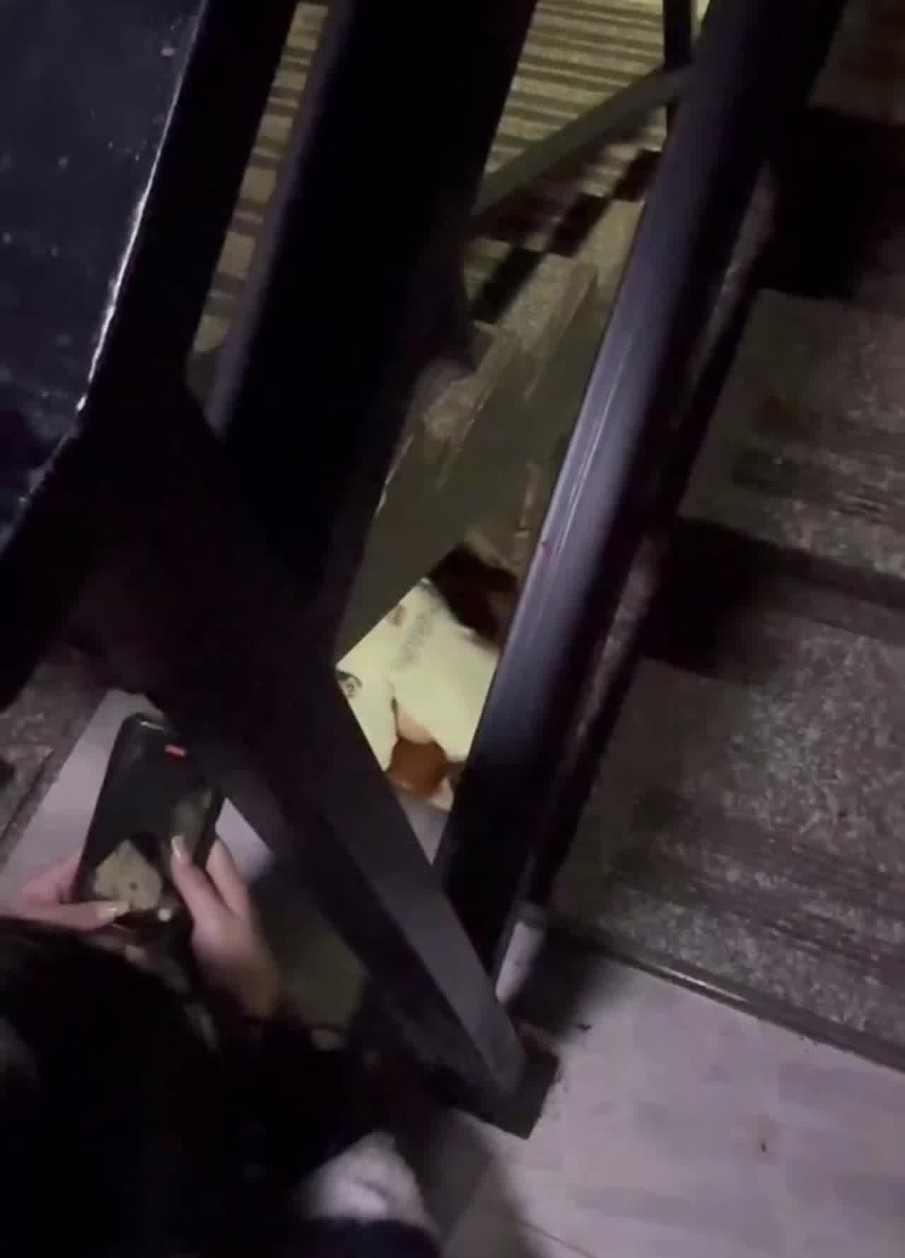  门事件 全网疯求！酒吧楼梯操逼事件 的剧照4