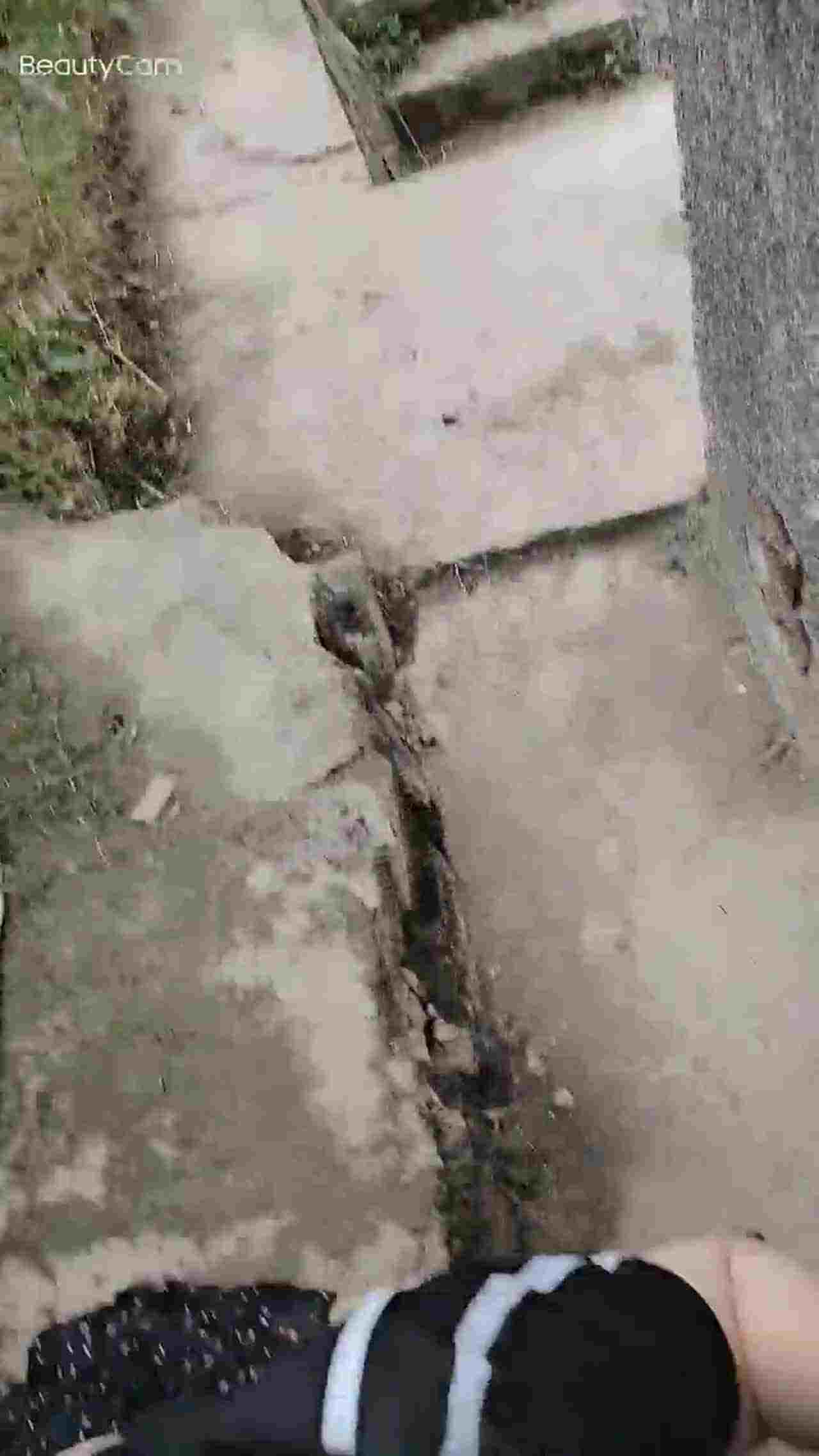  对面好多老头摘枇杷 的剧照2