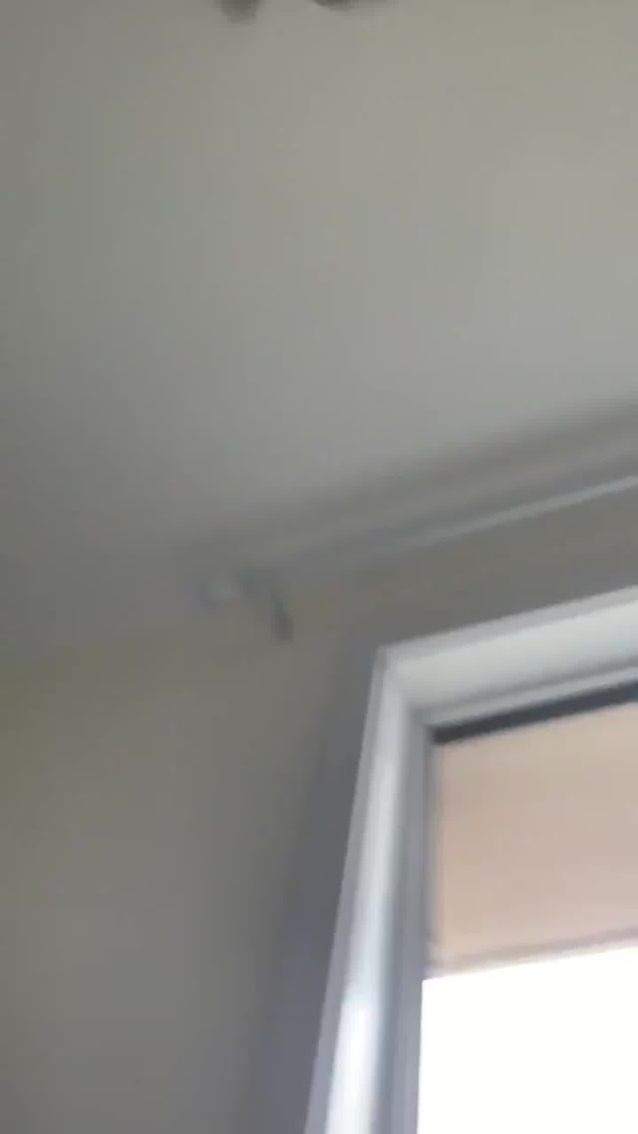  和幼儿园老师的美臀激情冲撞 的剧照4